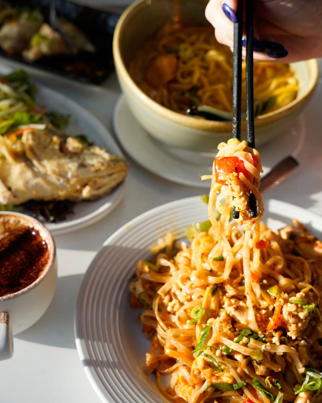 Adelaide Socials social media — lifestyle photography for Adelaide brand